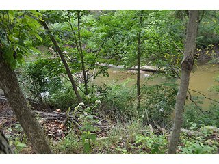 Property photo 3 - REAL ESTATE AUCTION - 8.75+/- ACRES OFFERED IN 2 TRACTS IN ALLEN COUNTY